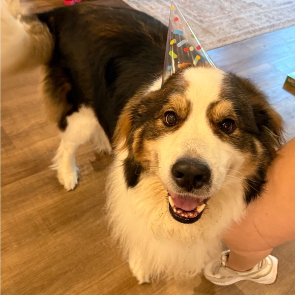 Meet your Posher, Megan - Picture 8 of 8